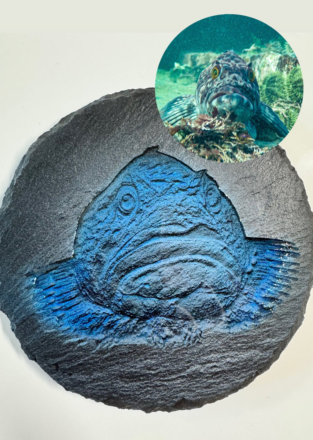Slate fish engraving on a white background with a photo inset showing the original image.