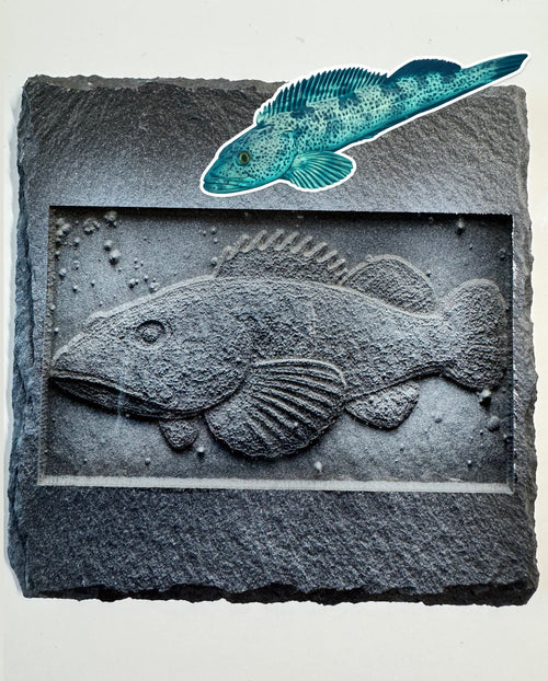 Carved fish design on a stone slab with a blue fish illustration above it.