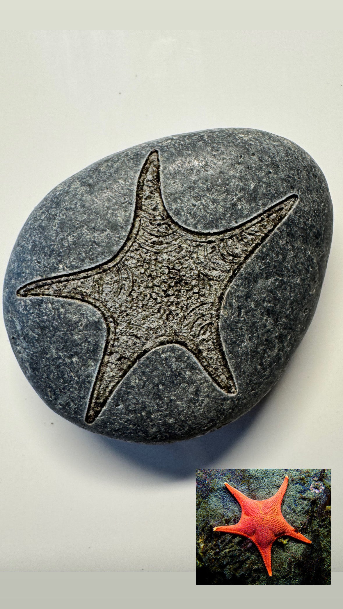 Turn Your Photo Into a Custom Engraved Rock