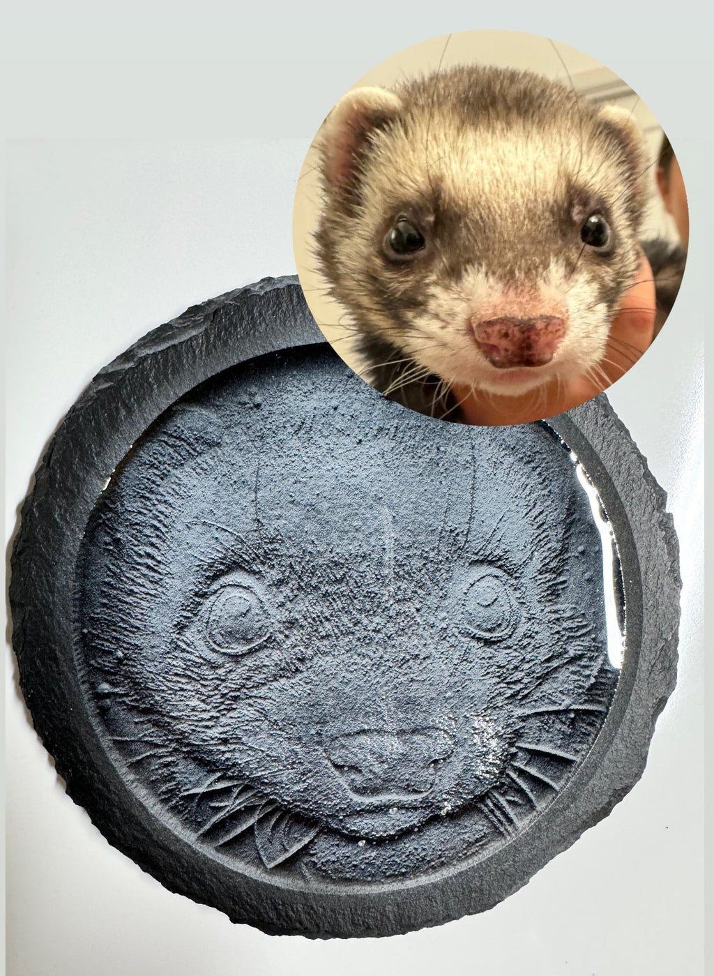 Ferret engraved on a rock with a white background, photo inset reveals original ferret photo.
