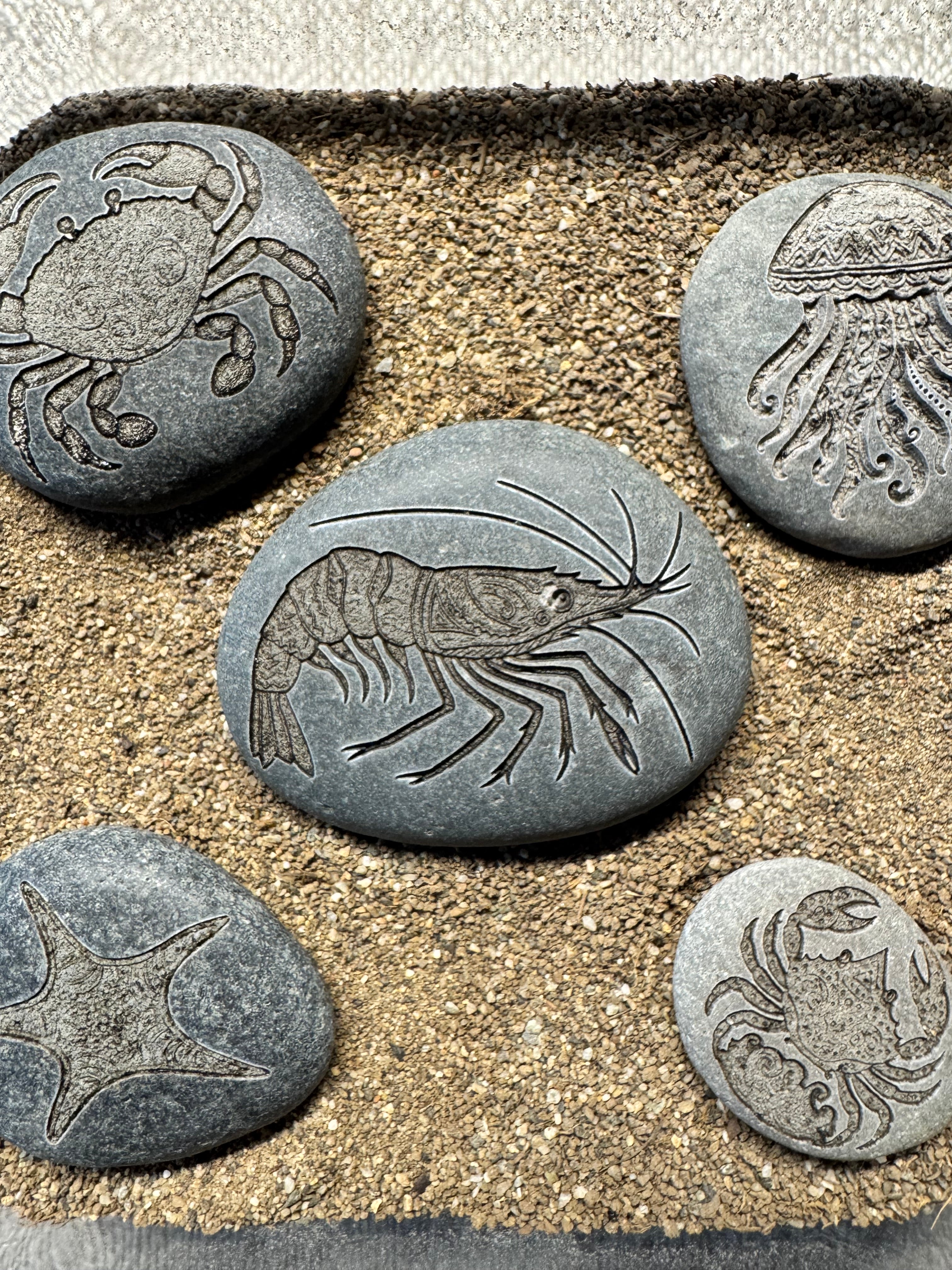 Decorative stones with engraved designs of a shrimp, crab, and starfish on a sandy background.