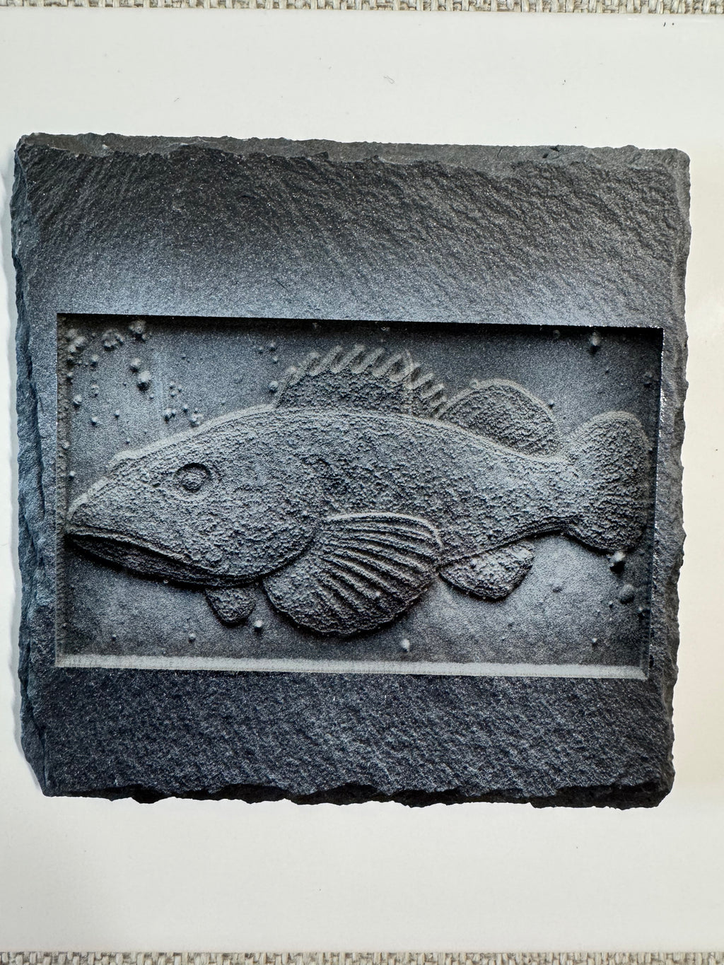 Pacific Ocean Slate Coaster- Laser Engraved Lingcod